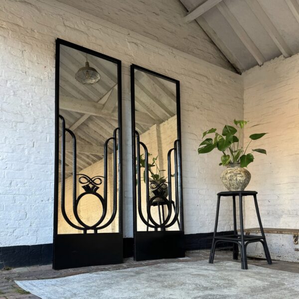 Antique-mirror-doors